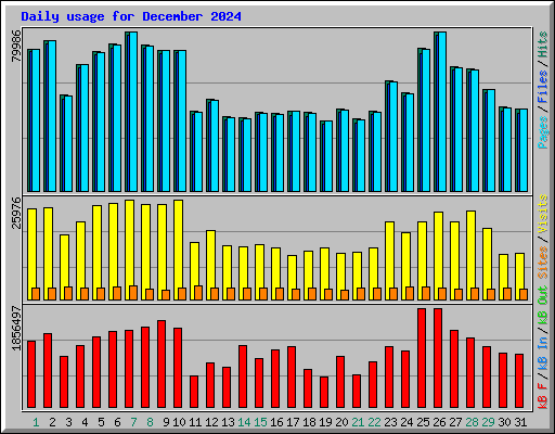 Daily usage for December 2024