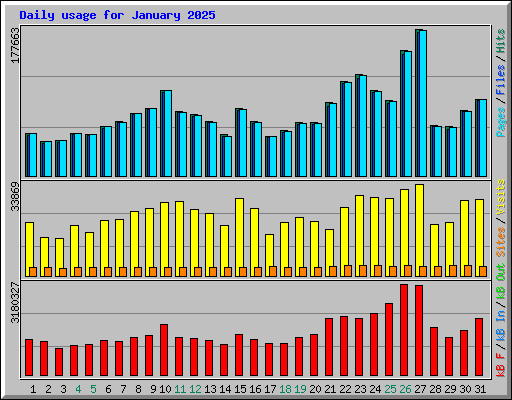 Daily usage for January 2025