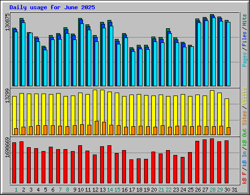 Daily usage for June 2025