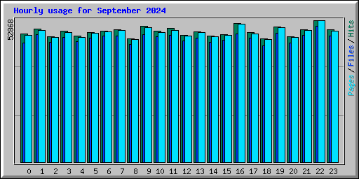 Hourly usage for September 2024