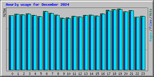 Hourly usage for December 2024