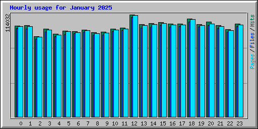 Hourly usage for January 2025