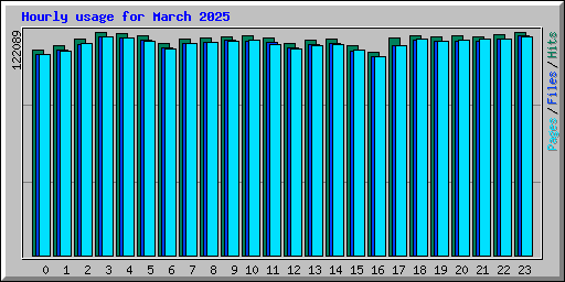 Hourly usage for March 2025