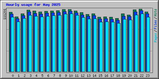 Hourly usage for May 2025
