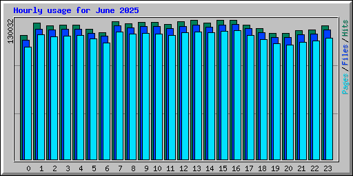 Hourly usage for June 2025