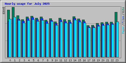 Hourly usage for July 2025