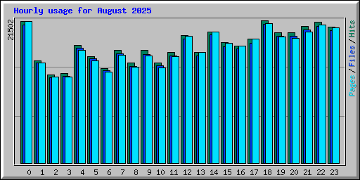 Hourly usage for August 2025